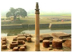 ashokan pillar