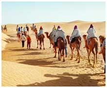 bikaner-camel-safari