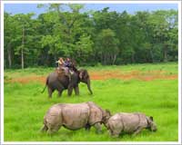 Chitwan National Park