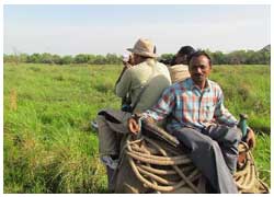 elephant ride tour