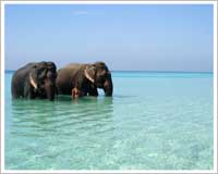 havelock-island