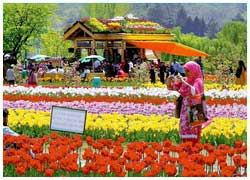 Heart of Kashmir