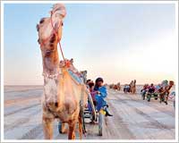 jeep safari Rann of Kutch