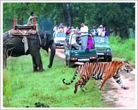 Corbett National Park