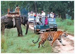 jim corbett trips