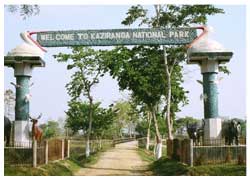 Kaziranga National Park