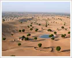 Great Indian Desert