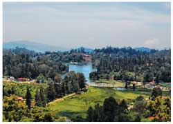 kodaikanal Tour Packages