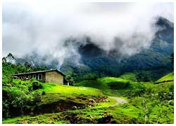 Majestic Kerala Hill Tour