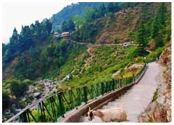 mcLeodganj Tour