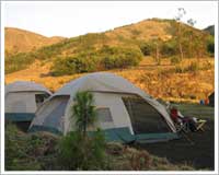 munnar-camping