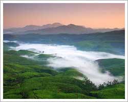 munnar