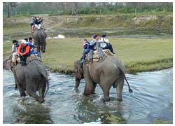 nagarahole national-safari