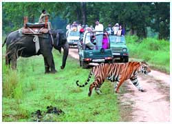 Jim Corbett National Park