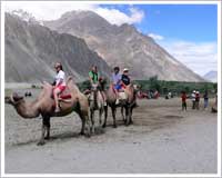 Nubra valley