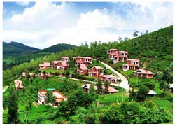 ooty tour package