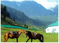 pahalgam tour package