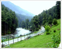 Pahalgam Tour