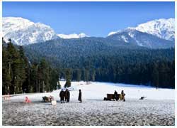 pahalgam tour package