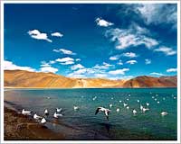 Pangong Lake