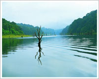 Periyar wildlife sanctuary