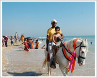 puri-safari-beach