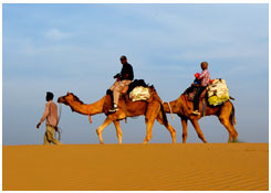 Rajasthan Desert Tour