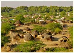 Rajasthan Village Tour 