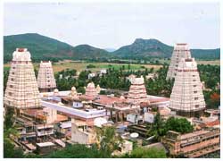 Tamil Nadu Temple Tour