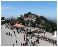 Shimla Package