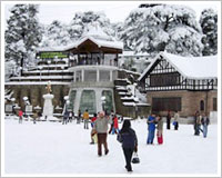 shimla-tour