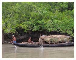 sundarban-river