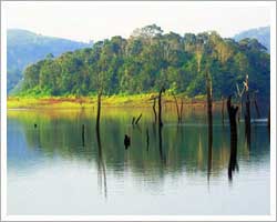 Thekkady