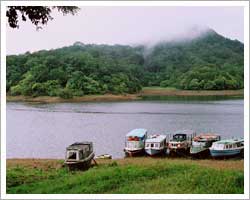 thekkady